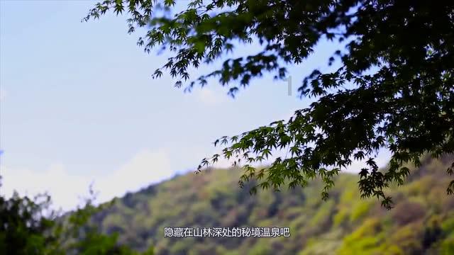 注意 | 天津市流感流行分级下调为Ⅱ级