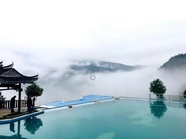 金刚鹦鹉逃生