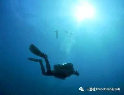 2023年洗衣机电商周度数据报告--W51