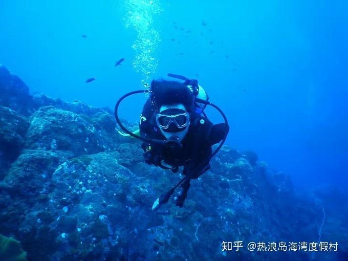 游戏画面