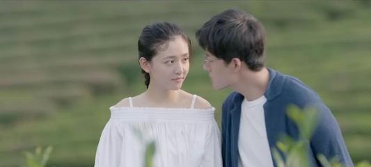 小猫钓鱼正版下载中文版